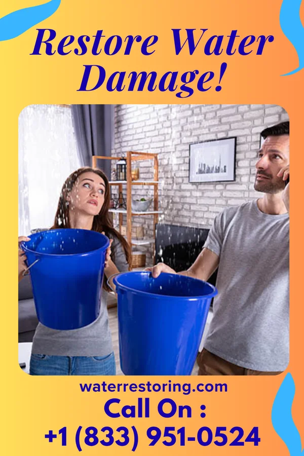 water restoration Zenith Water Mitigation Services Gridley