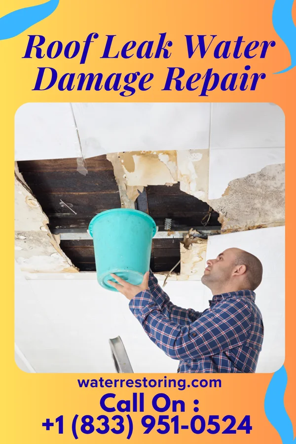 Roof Leak Water Damage Repair in Gridley, KS